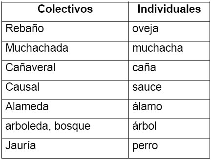 Ejemplos de sustantivos colectivos